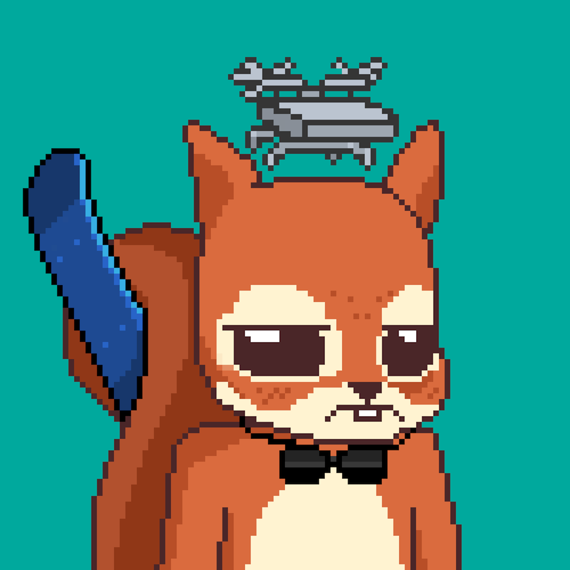 Pixel Squirrels #2364